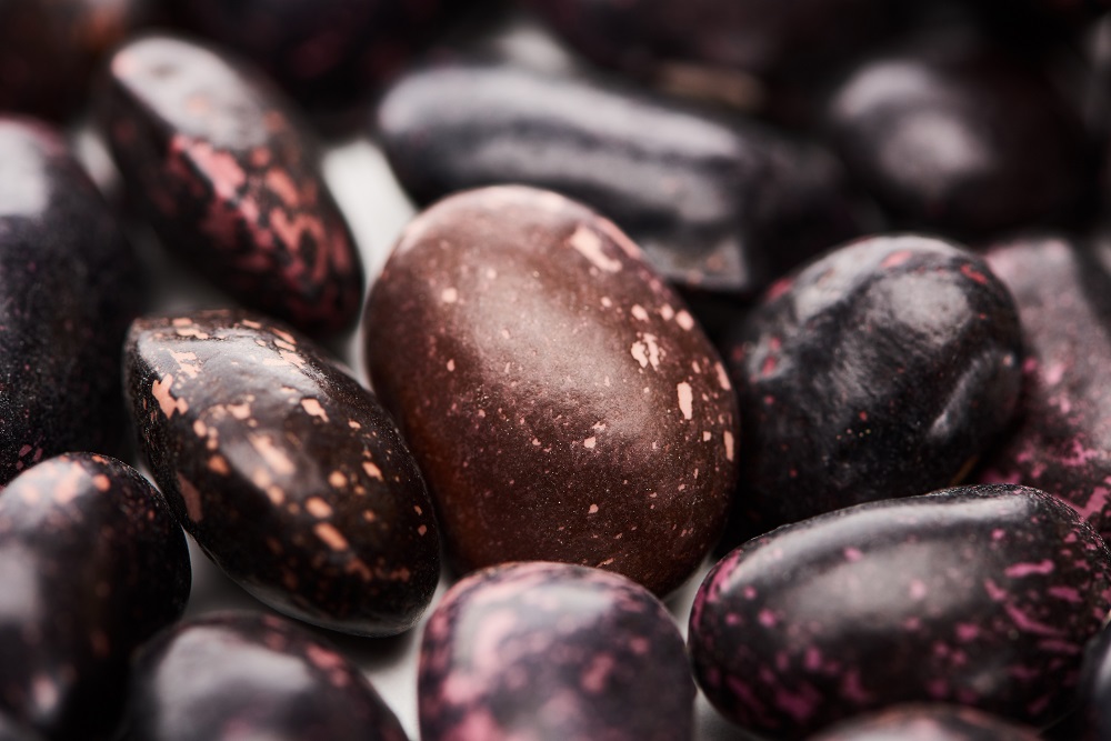Can You Freeze Black Beans? Legume Explained Dom Eats