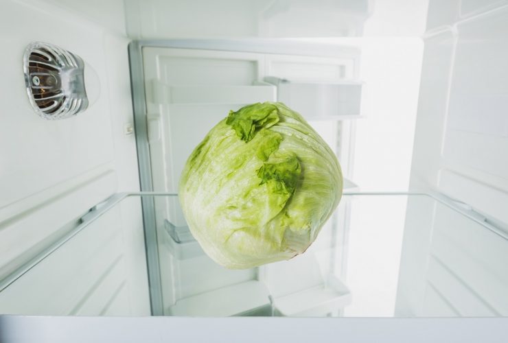 can you freeze cabbage