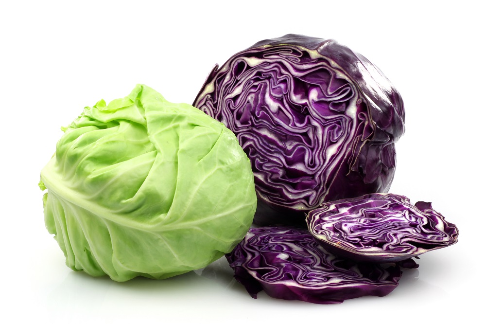 freezing cabbage