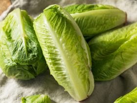 can you freeze romaine lettuce