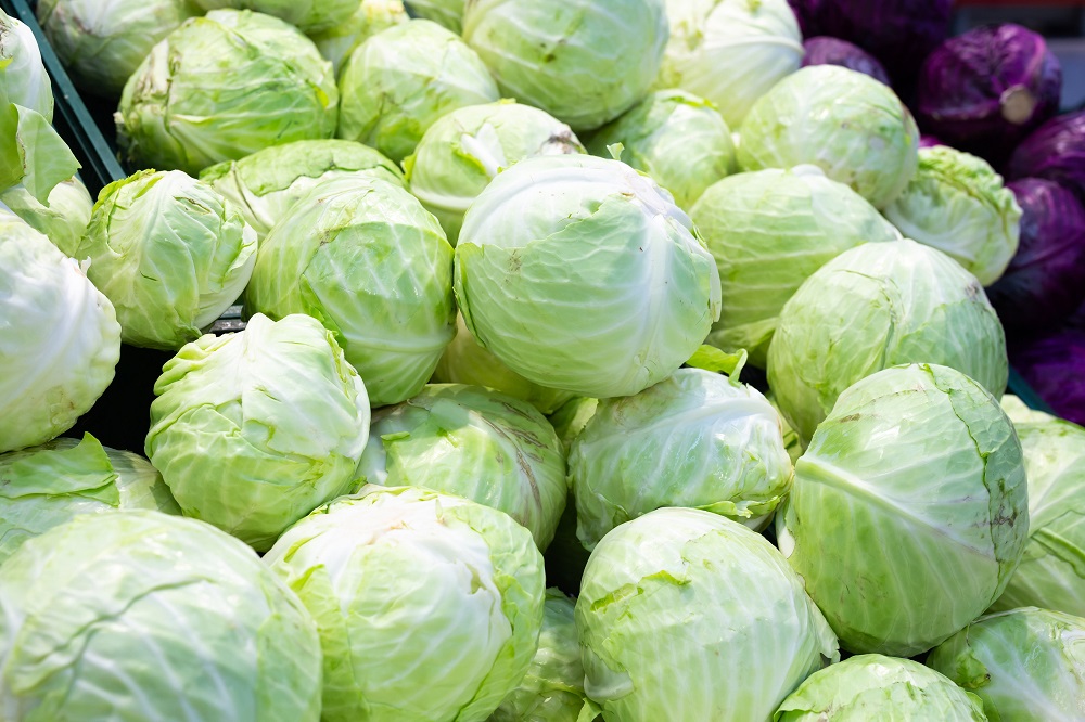 How Long Does Cabbage Last? Expiration Explained Dom Eats