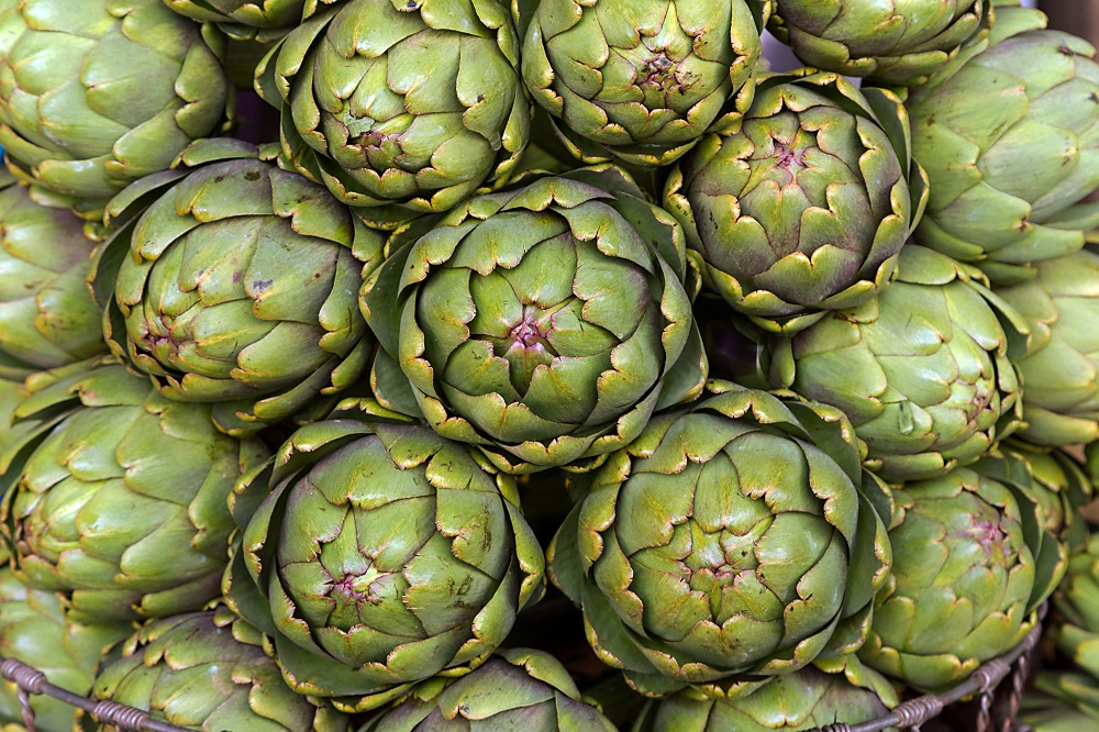 Can You Freeze Artichoke? Thistle Vegetable Explained Dom Eats