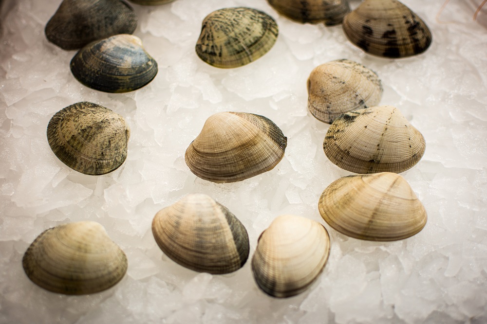 Can You Freeze Clams? Mollusk Explained Dom Eats