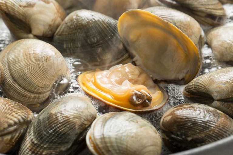 Can You Freeze Clams? Mollusk Explained Dom Eats