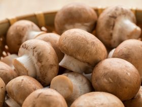 how long do mushrooms last