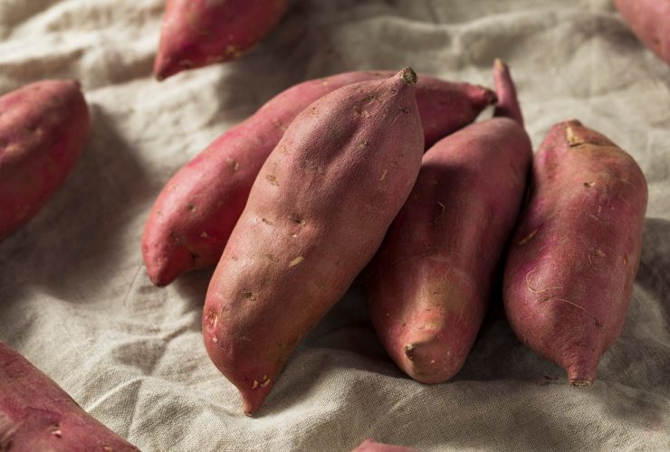 can you freeze sweet potatoes