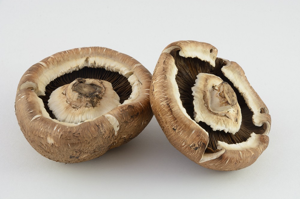 Mushroom Substitutes Alternative Options Dom Eats