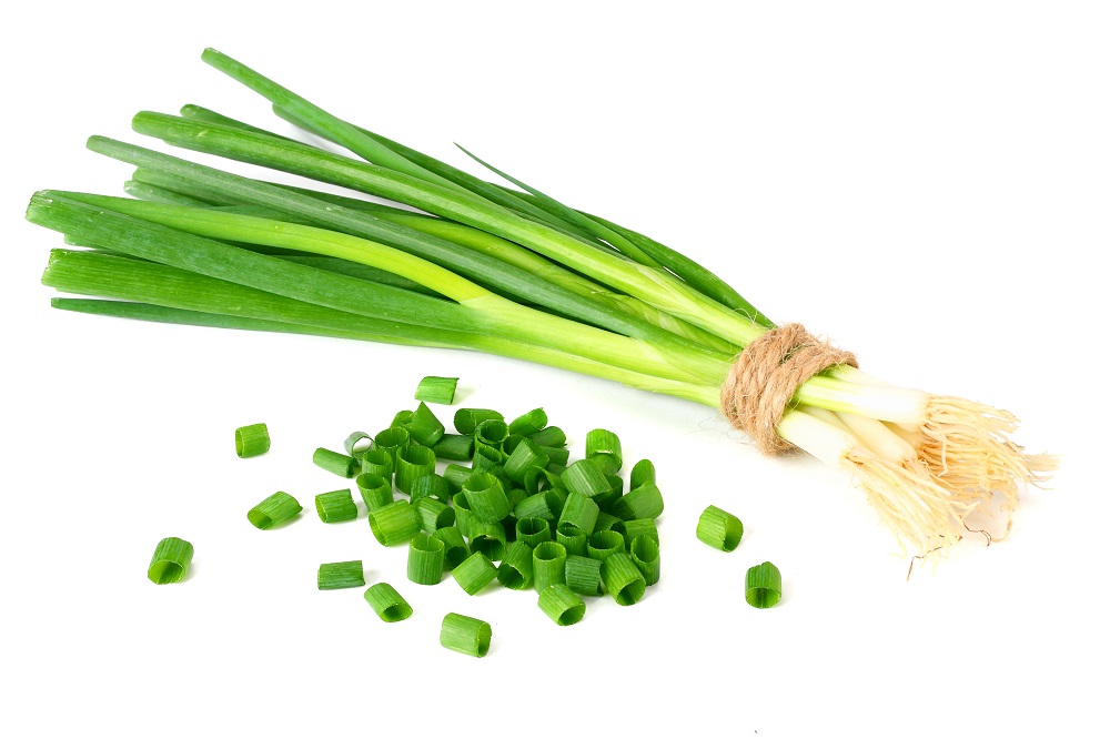 green onion alternatives