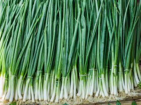 spring onion substitutes