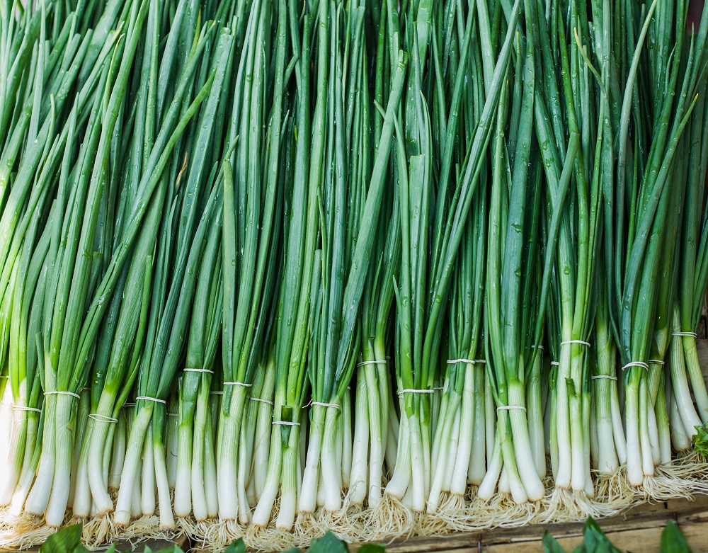 Spring Onion Substitutes Alternative Options Explained Dom Eats