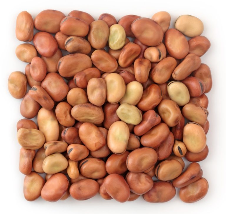 Bean Substitutes for Chili Alternative Options Explained Dom Eats