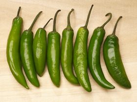 green chilies substitutes