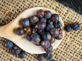 juniper berry substitutes