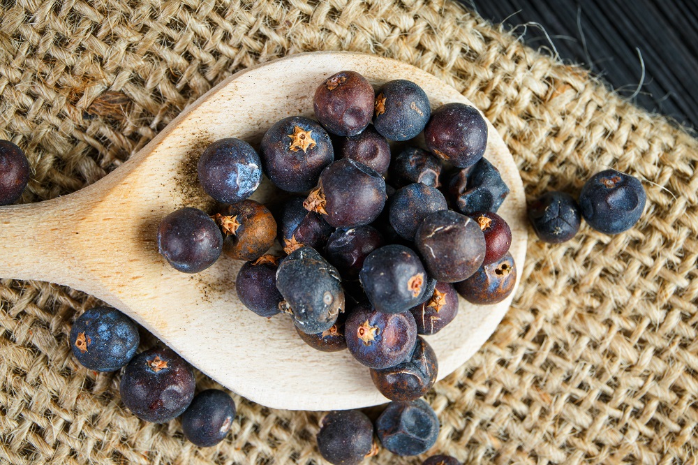 Juniper Berries Substitute Alternative Options Explained Dom Eats