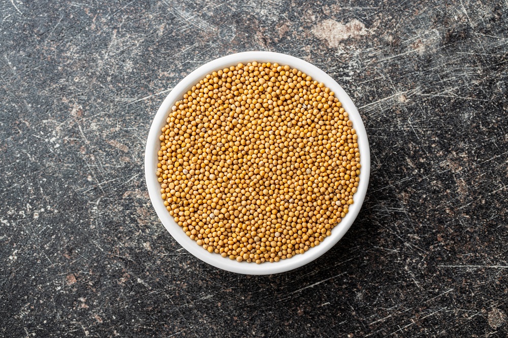 Mustard Seed Substitutes Alternative Options Explained Dom Eats